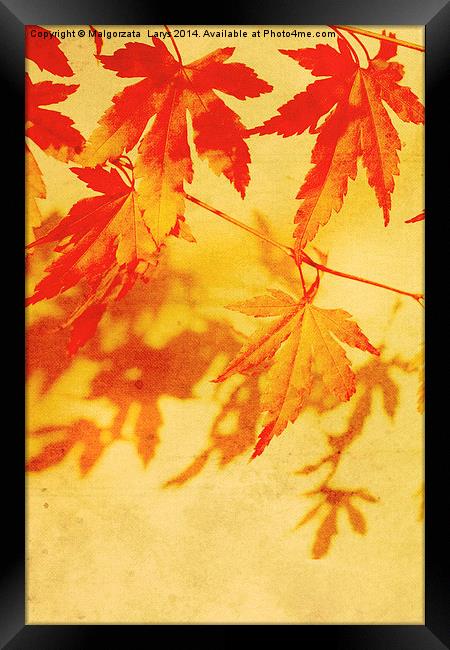 Old, autumnal dreamy, brown background  Framed Print by Malgorzata Larys