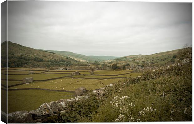 The Dales Canvas Print by Annie Page
