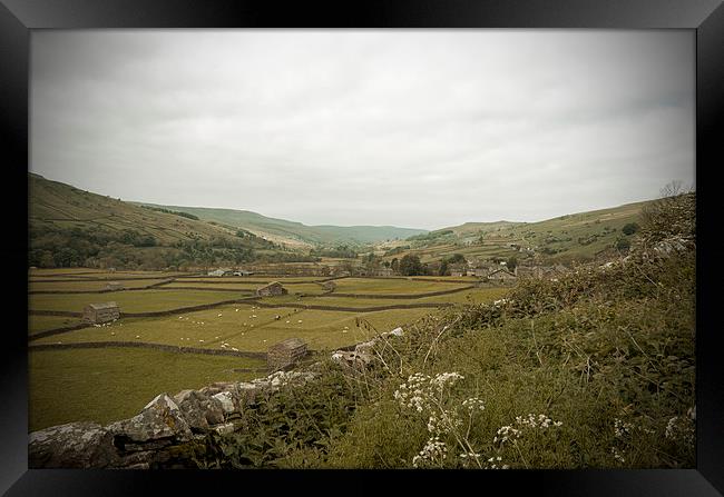The Dales Framed Print by Annie Page
