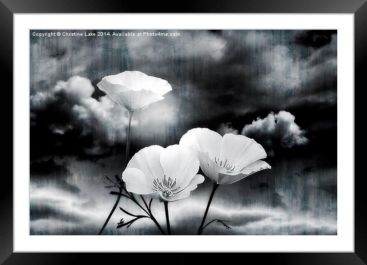 Wild Beauty Framed Mounted Print by Christine Lake