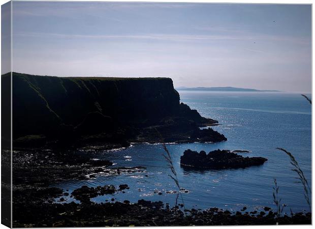 Giants Causeway Trail Canvas Print by Claire Clarke