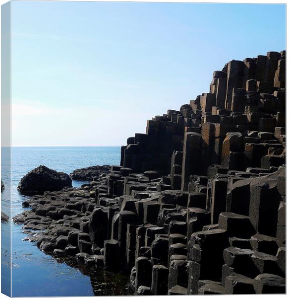Giants Causeway Canvas Print by Claire Clarke