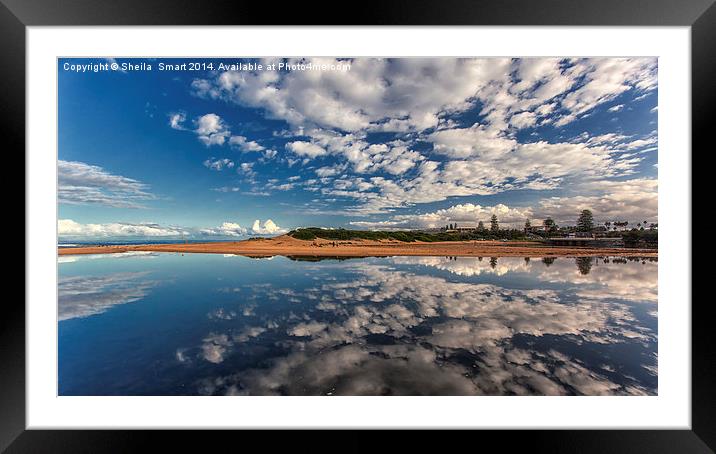 Narrabeen Lagoon Framed Mounted Print by Sheila Smart