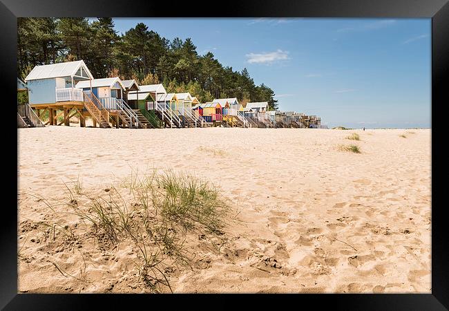 Wells Beach and Beach Huts Framed Print by Stephen Mole