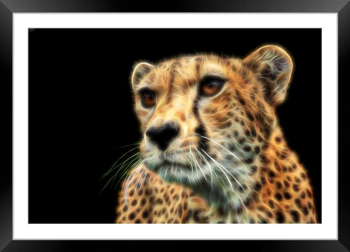 Cheetah Fractal Framed Mounted Print by Selena Chambers