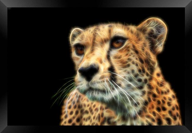 Cheetah Fractal Framed Print by Selena Chambers