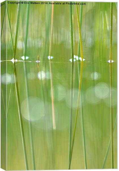 Grass Reflections in Pool Canvas Print by Eric Watson