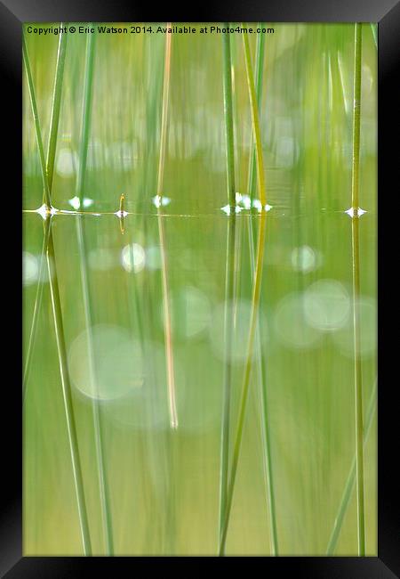 Grass Reflections in Pool Framed Print by Eric Watson
