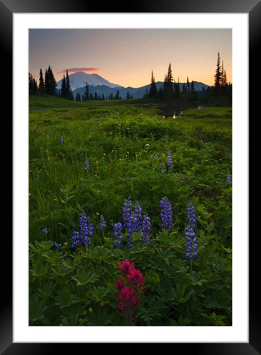 Rainier Sunset Cap Framed Mounted Print by Mike Dawson