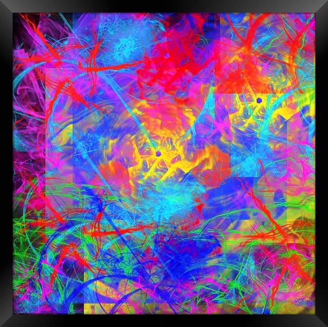Colour Chaos Framed Print by Matthew Lacey