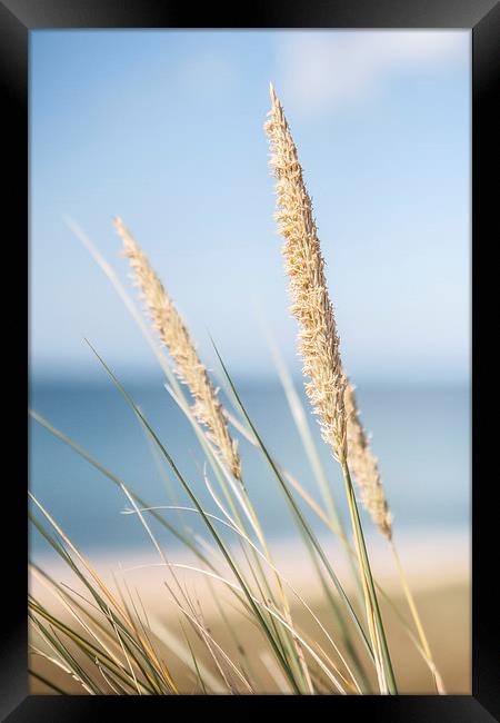By the sea Framed Print by Sean Wareing