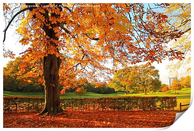 Beautiful, sunny Autumn in the park Print by Malgorzata Larys