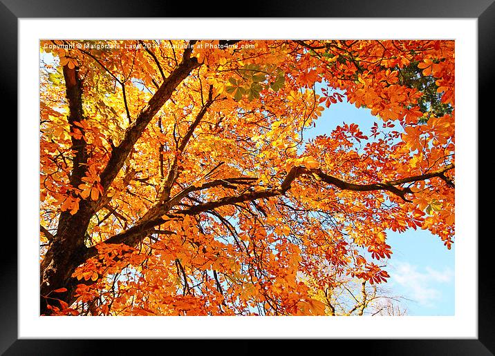 Autumnal leaves Framed Mounted Print by Malgorzata Larys