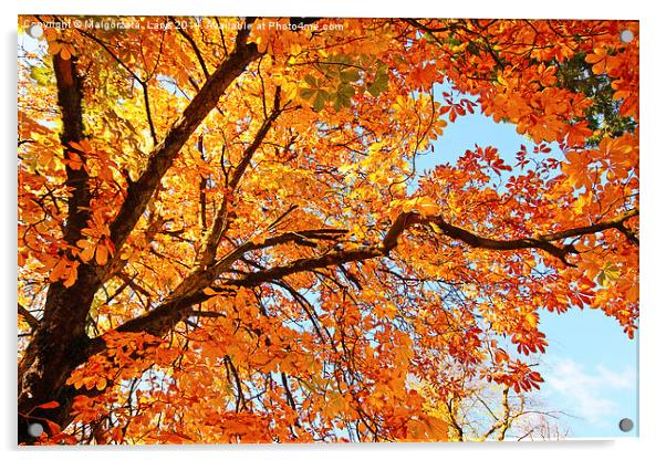 Autumnal leaves Acrylic by Malgorzata Larys