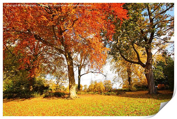 Beautiful, sunny autumn in the park Print by Malgorzata Larys