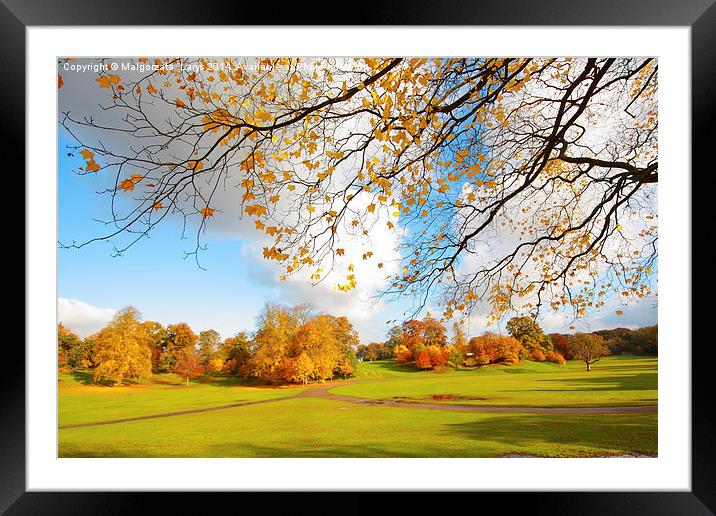 Beautiful, sunny autumn in the park Framed Mounted Print by Malgorzata Larys