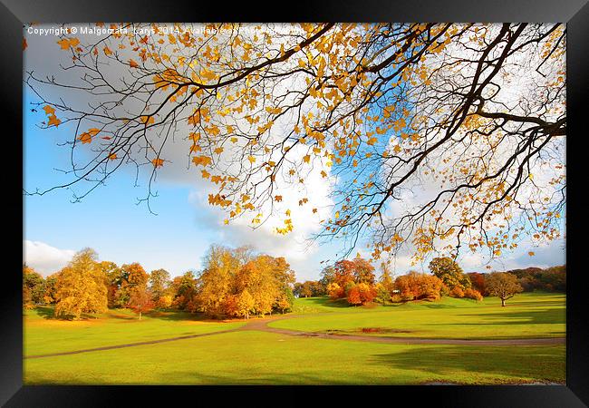 Beautiful, sunny autumn in the park Framed Print by Malgorzata Larys