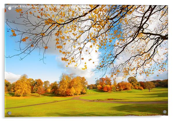 Beautiful, sunny autumn in the park Acrylic by Malgorzata Larys