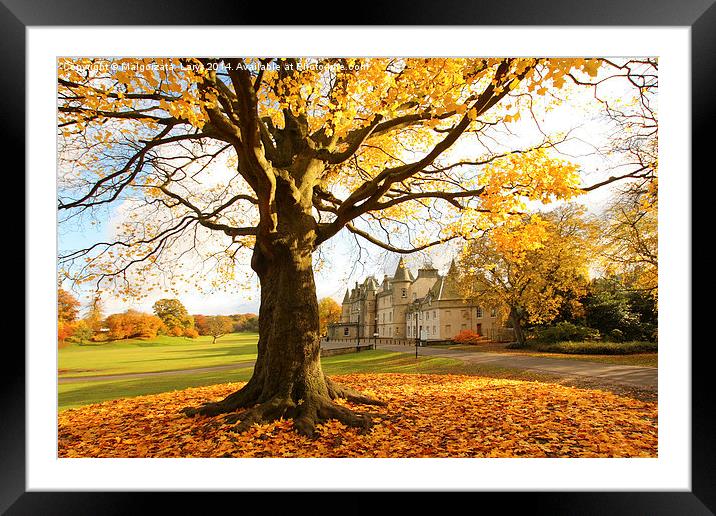 Callendar House in Autumn, Falkirk, Scotland Framed Mounted Print by Malgorzata Larys