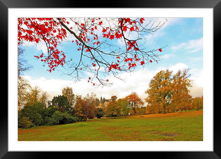 Beautiful, sunny autumn in the park of Falkirk Framed Mounted Print by Malgorzata Larys