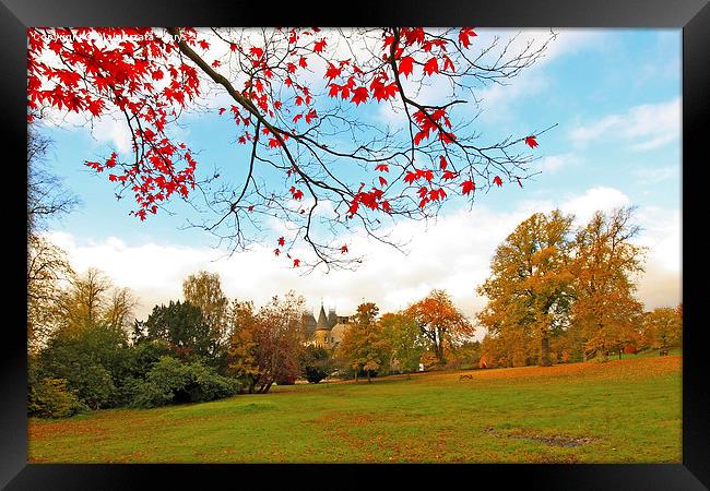 Beautiful, sunny autumn in the park of Falkirk Framed Print by Malgorzata Larys