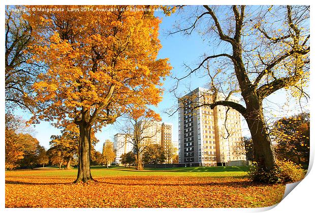 Beautiful, sunny autumn in Falkirk, Scotland Print by Malgorzata Larys