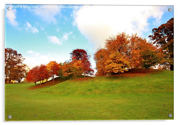 Beautiful, sunny autumn in the park Acrylic by Malgorzata Larys