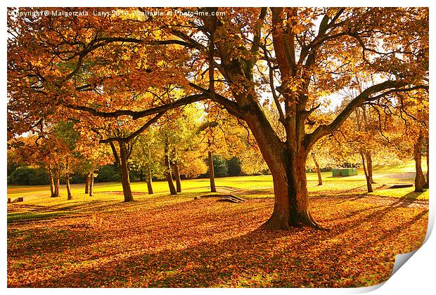 Wonderful autumnal scene in the park of Falkirk, S Print by Malgorzata Larys