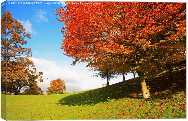 Wonderful autumnal scene in the park of Falkirk, S Canvas Print by Malgorzata Larys