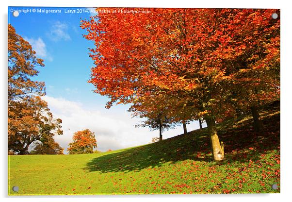 Wonderful autumnal scene in the park of Falkirk, S Acrylic by Malgorzata Larys
