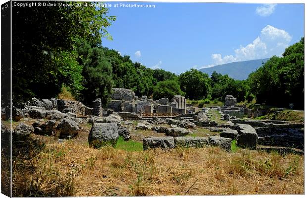 Butrint Albania Canvas Print by Diana Mower