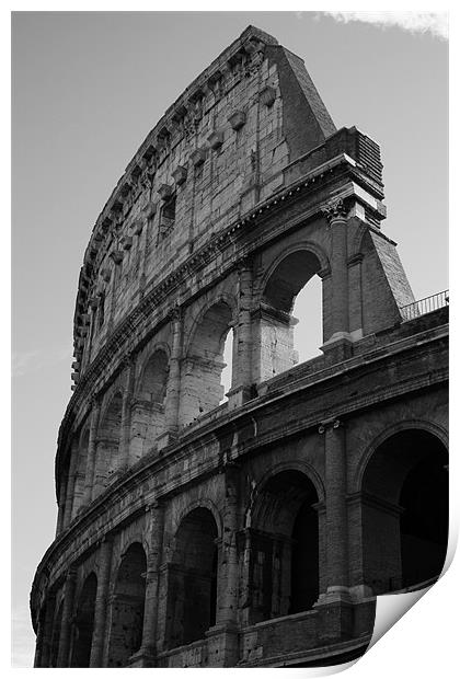 Colosseum Print by  Orchard