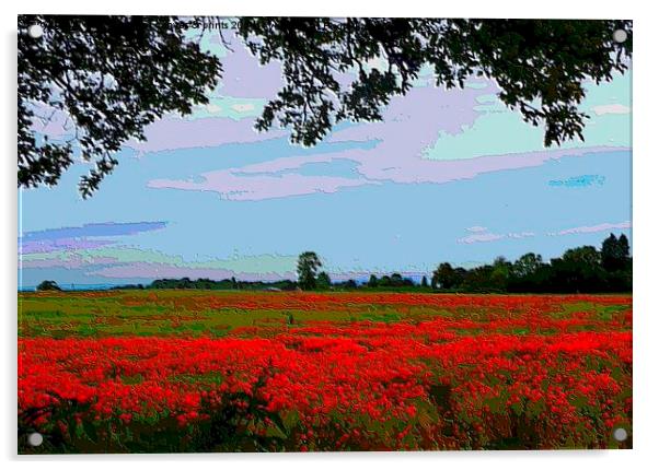 Digital Poppy field 2 Acrylic by Paula Palmer canvas