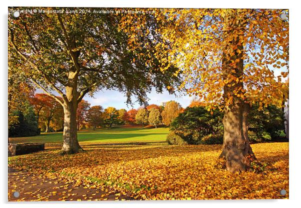 Wonderful autumnal scene in the park of Falkirk, S Acrylic by Malgorzata Larys