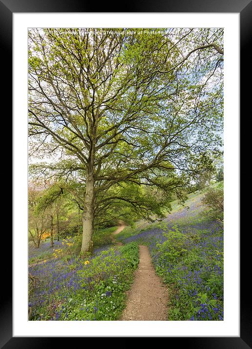 Springtime Walk Framed Mounted Print by Graham Prentice