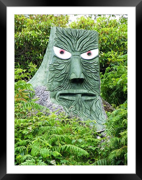 stump face Framed Mounted Print by malcolm maclean