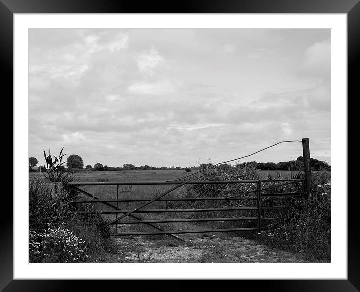 Gate to the Countryside Framed Mounted Print by Liam Gibbins