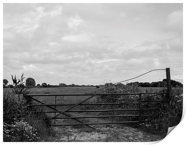 Gate to the Countryside Print by Liam Gibbins