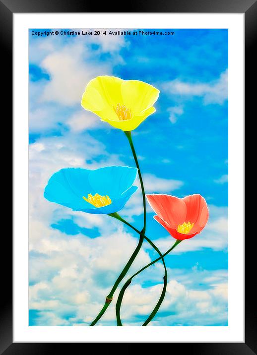 Paintbox Flowers Framed Mounted Print by Christine Lake