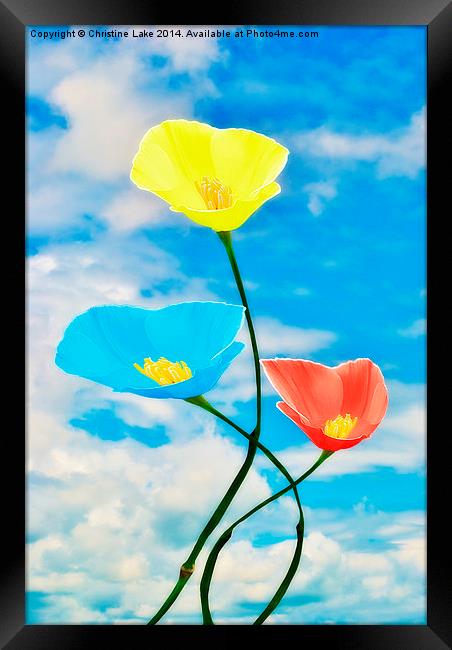 Paintbox Flowers Framed Print by Christine Lake