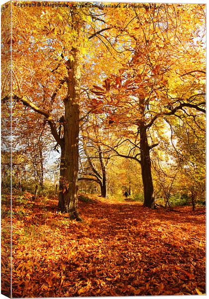 Beautiful Autumn in the Park of Motherwell, Scotla Canvas Print by Malgorzata Larys