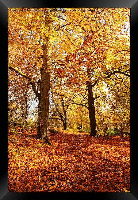 Beautiful Autumn in the Park of Motherwell, Scotla Framed Print by Malgorzata Larys