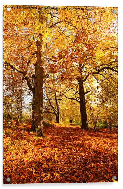 Beautiful Autumn in the Park of Motherwell, Scotla Acrylic by Malgorzata Larys
