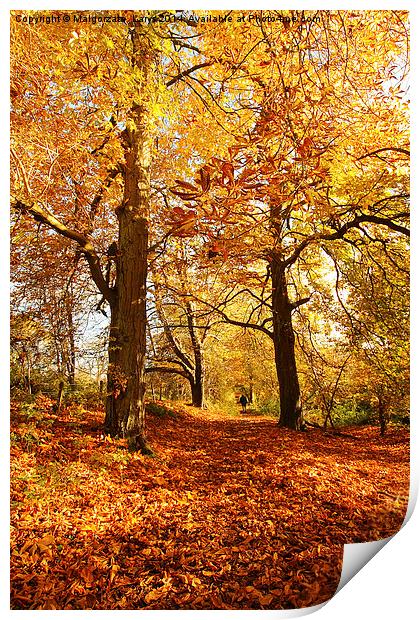 Beautiful Autumn in the Park of Motherwell, Scotla Print by Malgorzata Larys