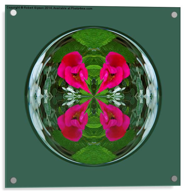Flower Globe Acrylic by Robert Gipson