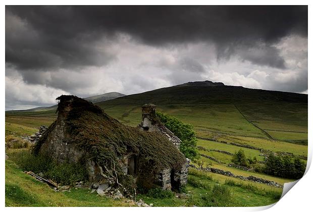 Welsh Ruin Print by Kevin OBrian