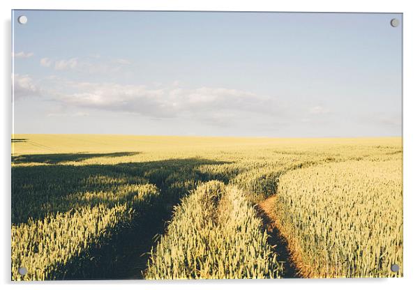 Track through wheat field. Acrylic by Liam Grant