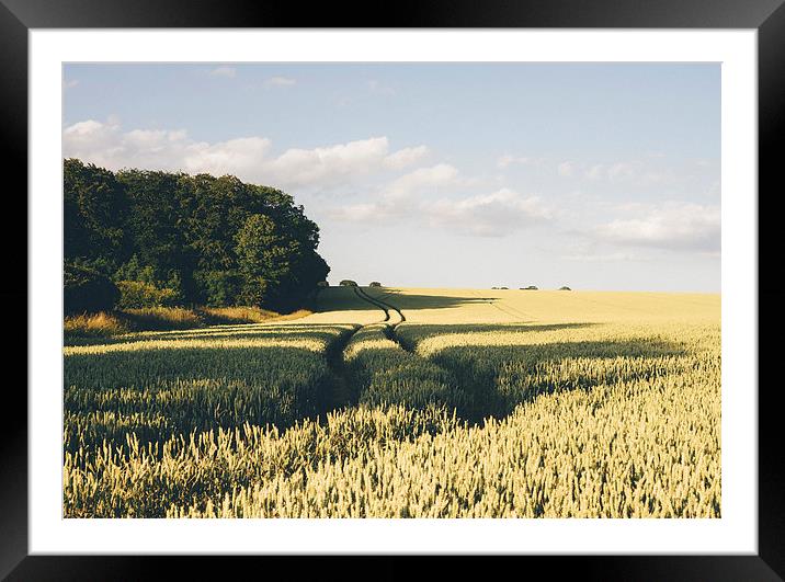 Track through wheat field. Framed Mounted Print by Liam Grant