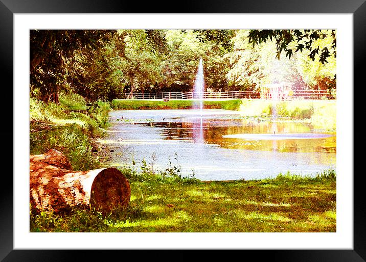 croxteth park Framed Mounted Print by sue davies