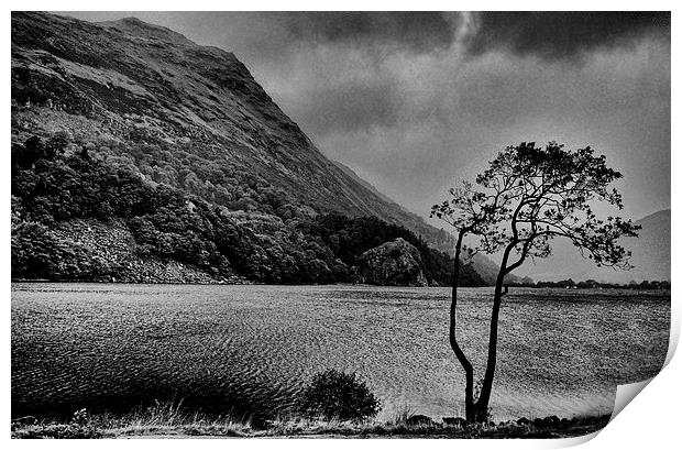 Penmaen-Brith Print by Oriel Forest